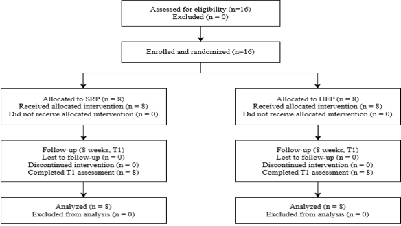 Participant flow